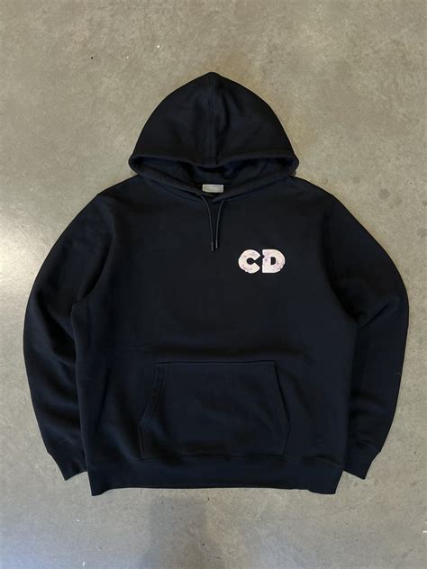 dior daniel arsham hoodie